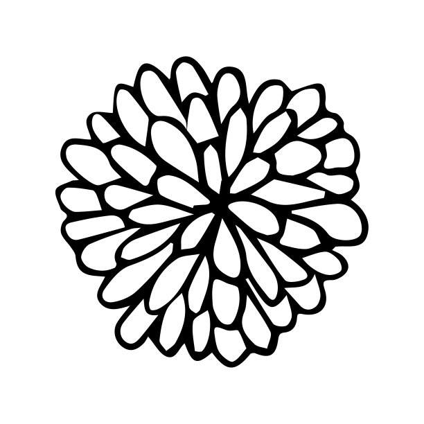 盛开的紫苑和菊花的花蕾涂鸦风格。轮廓绘制矢量插图。该元素是手工绘制的，并孤立在白色背景上。为了卡片和请柬，生日。图片下载