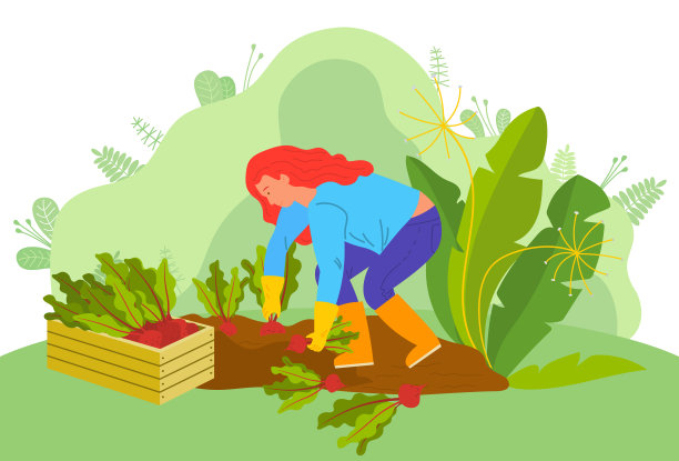 农场妇女与甜菜根农民在农场矢量图片下载