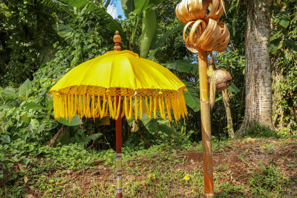 印度尼西亚巴厘岛上印度教庙宇建筑群Batukaru的装饰。黄色和白色的装饰伞排列在道路两旁，以供相信的游客使用。有装饰流苏的彩色织物伞。图片下载