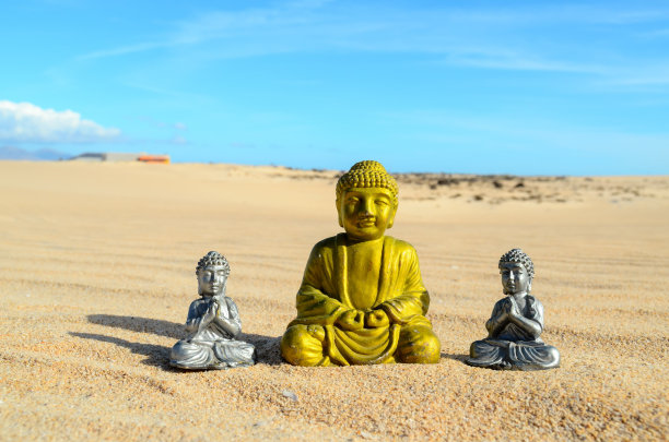 干燥沙漠中的物体图片下载