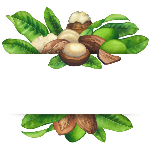 水彩乳木果坚果和叶子。手绘设计图片下载