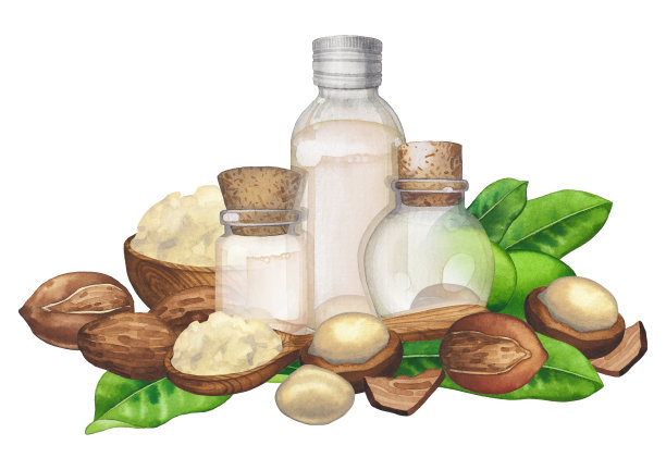 水彩油瓶周围的木盆和黄油图片下载