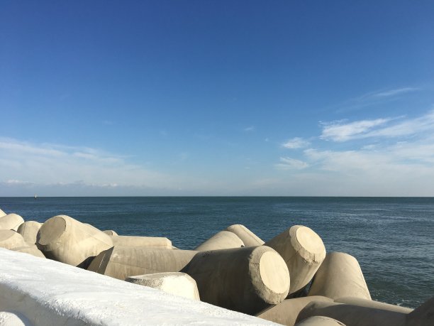 海洋和四足动物图片下载