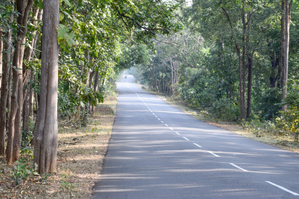 还有很长的路要走图片下载