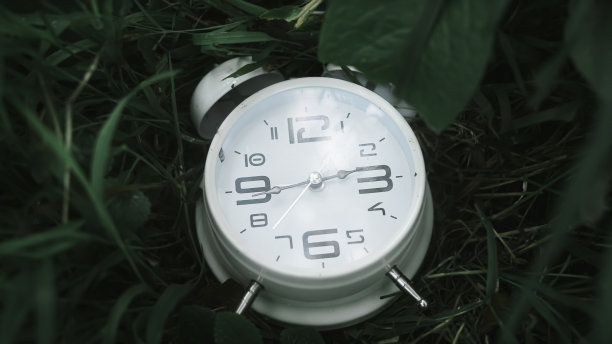 白色的闹钟在绿色的草地，完美的森林背景时间概念图片下载