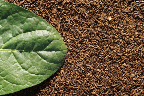 在干切的烟叶上平铺烟叶，以极简风格的复制空间为背景，模板为字母，图片下载