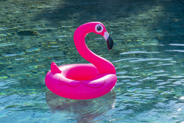 粉红色的火烈鸟在海上。图片下载