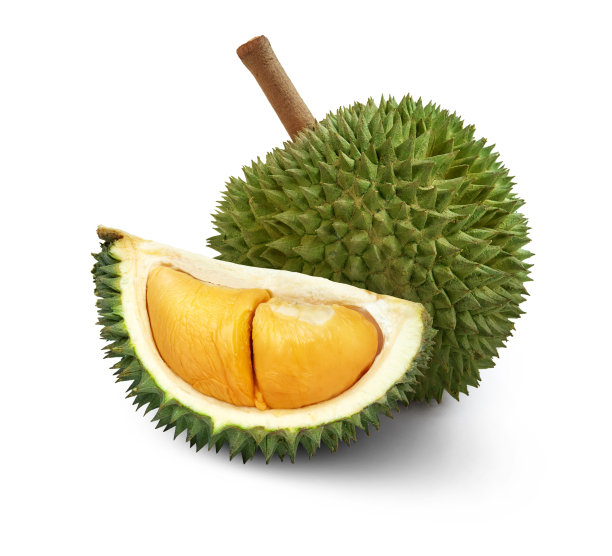 榴莲孤立在白色背景上图片下载