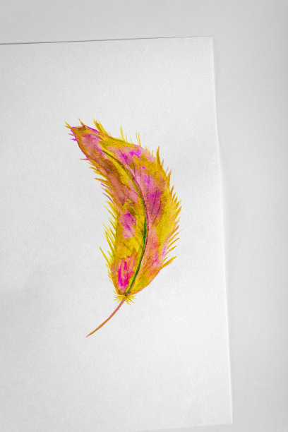 水彩画羽毛在白色纹理表面纸表。鸟的象征之一，飞翔，空气，翅膀，自由和爱。图片下载