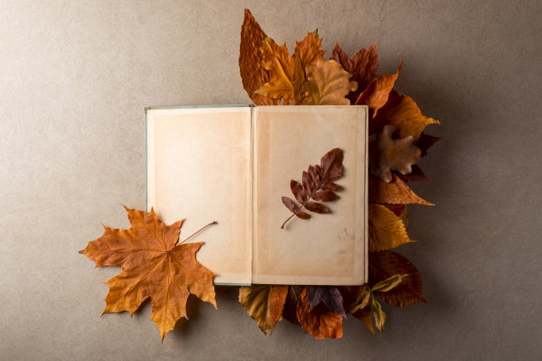 旧翻开的书与干燥的叶子在素色的石头表面的桌子上。阅读，文学，诗歌，图书馆和秋秋概念照片。图片下载