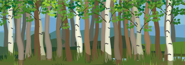 森林背景与许多树干的落叶树图片下载