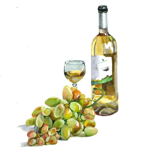 水彩酒瓶，玻璃和葡萄白色插图素材图片
