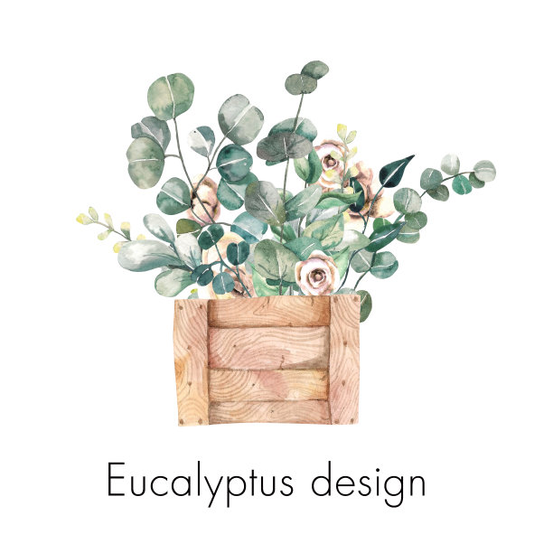 水彩画，桉树花束，木盒图片下载