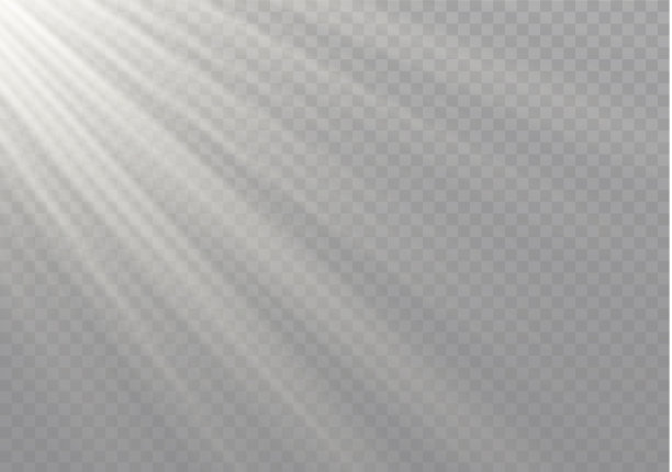 白色的阳光。图片下载