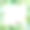 不同的花和草本植物的方形框架在白色孤立的背景上，矢量插图与平面设计的copyspace，版画，使用作为网站的背景，夏天的概念，自然。图片下载