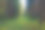 在一个阳光明媚的日子，在云杉森林的夏季景观小径。图片下载