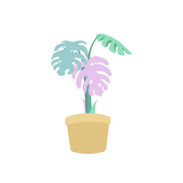 Monstera作为一种室内植物坐在一个陶罐中，在白色孤立的背景上，平面设计风格，矢量图例版画和décor，热带，雨林，自然和有机的概念。图片下载