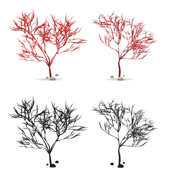 海藻海藻手拉水植物与石头设置孤立的白色与剪影在矢量图片下载