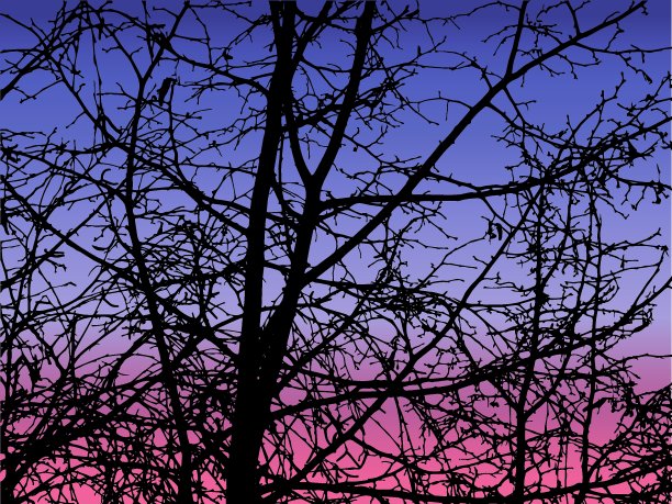 春天的自然背景。图片下载