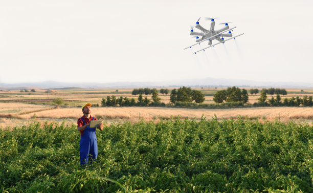 农民用无人机给庄稼喷洒农药图片下载