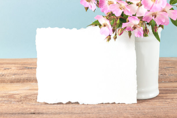 花卉成分来自菊花图片下载