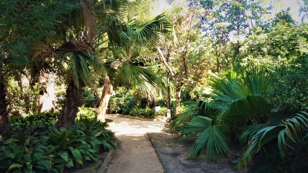 西班牙加的斯郁郁葱葱的绿色公园图片下载