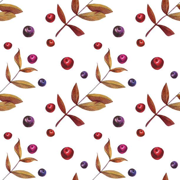 无缝模式水彩手绘橙色和红色秋叶，树枝和浆果在白色的背景。艺术创作的自然对象贴纸，卡片，墙纸，纺织品，包装，花店图片下载