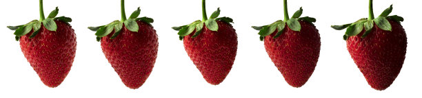 成熟的天然草莓莓与各种色调图片下载