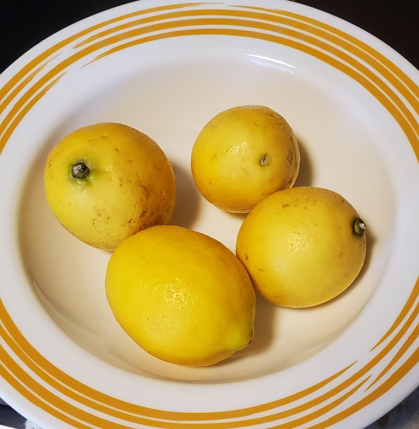 迈耶柠檬图片下载