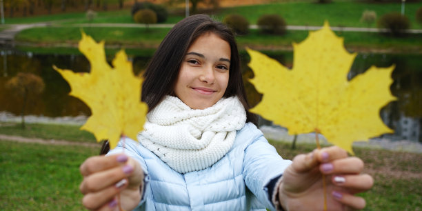 公园里的小女孩，围着温暖的针织围巾，伸出双手，捧着两片黄枫的秋叶图片下载