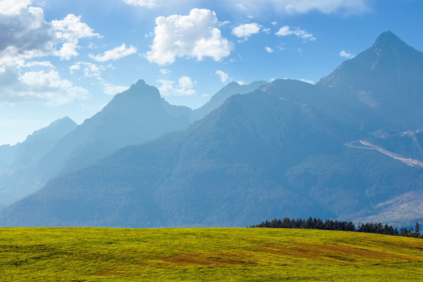 农村夏天的风景图片下载