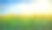托斯卡纳夕阳下的向日葵田野景观。图片下载