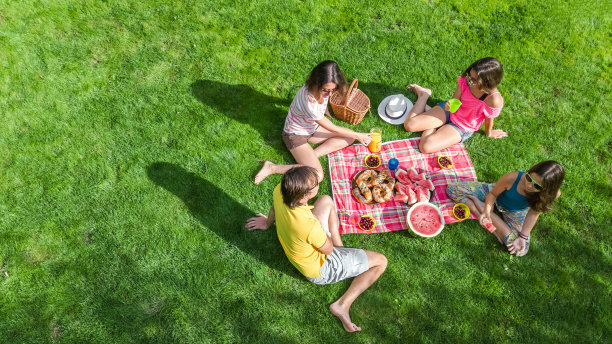 快乐的家庭与孩子在公园野餐，父母与孩子坐在花园里的草地和吃健康的膳食户外，无人机从上面看，家庭度假和周末的概念图片下载