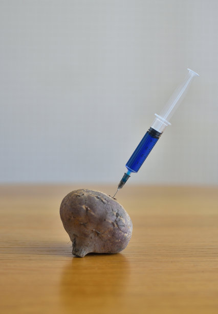 科学家使用注射器和甜菜根图片下载