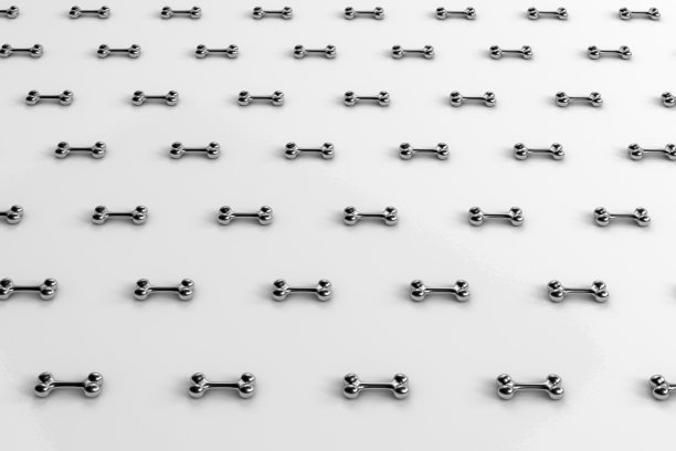 白色背景上的狗的银色骨头的3d渲染。图片下载