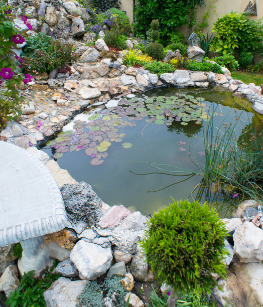 美丽的装饰性日本园林图片下载