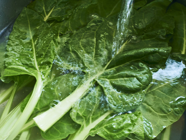 水里的菠菜叶子。图片下载