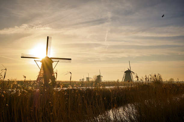 日出时风车Kinderdijk图片下载