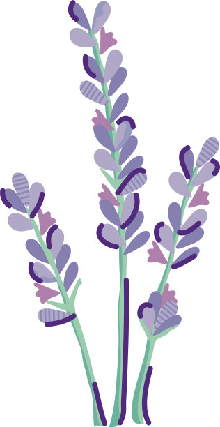 可爱的薰衣草花自然孤立的图标图片下载