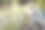 成熟的园丁在晨光中看着花园里的花坛里的花——专注于男人的脸和头图片下载