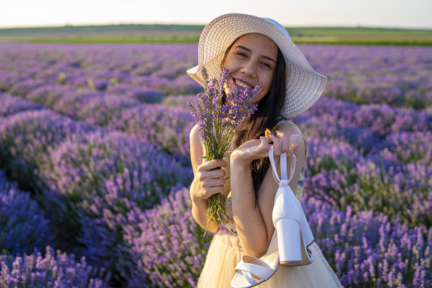薰衣草田之美图片下载