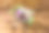 许多人把钞票卷在小购物车里。欧元，美元，乌克兰格里夫尼亚，埃及镑，俄罗斯卢布图片下载