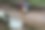 两个相爱的小矮人捧着一颗心。图片下载