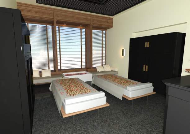 3D插图水疗和按摩室图片下载