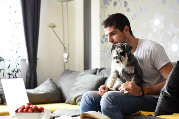 在家工作的年轻人图片下载