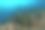 伊海草草甸图片下载