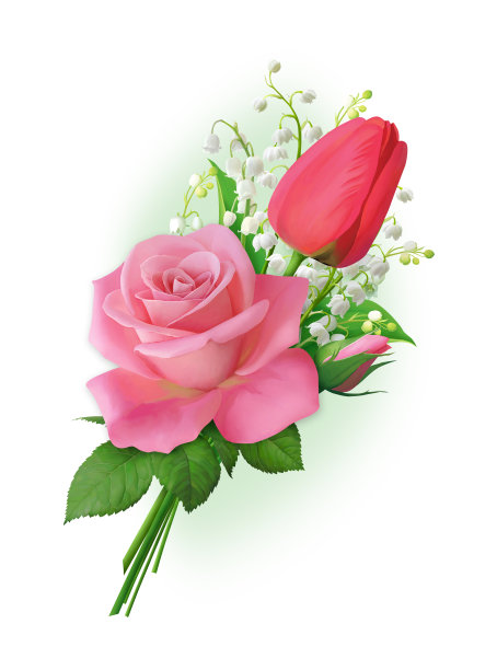 玫瑰和郁金香图片下载