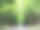 绿色的季节。图片下载