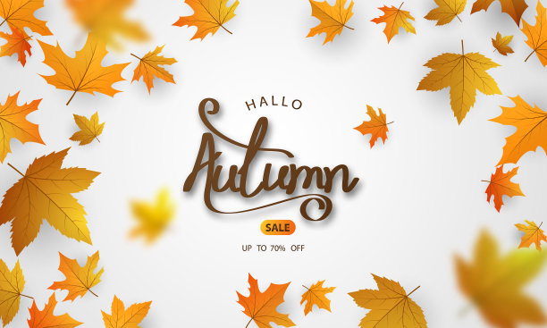 秋卖落叶背景自然图片下载