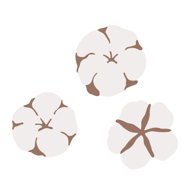 棉花花蕾顶视图。图片下载